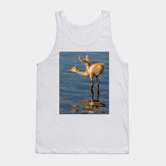 Sandhill crane chick Tank Top by joesaladino